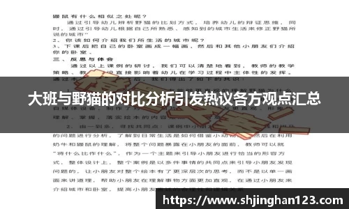 大班与野猫的对比分析引发热议各方观点汇总